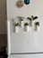 Fuzzy Mini Saksı Magnetli Set (5 Adet) 2