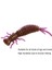 15 Adet 8 Renkli Larva Silikon Yumuşak Yem Yemi, Boyut: 100MM (Kahverengi) (Yurt Dışından) 3
