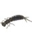 15 Adet 8 Renkli Larva Silikon Yumuşak Yem Yemi, Boyut: 100MM (Kahverengi) (Yurt Dışından) 4
