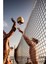 9.5 Metre Taşınabilir Pratik ve Profesyonel Voleybol Filesi Beach&okul&sahil&otel Tipi Voleybol Ağı 3