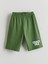 Lcw Kids Beyaz Dinozor Baskılı Erkek Çocuk Şortlu Pijama Takımı 5