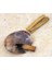 Wish Kit Placuna Enerji Başlangıç Seti : Palo Santo Tütsü ve Placuna Deniz Kabuğu Tütsülük 3