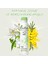 Natural Breeze Kadın Deodorant 150 ml Pudrasız %0 Alüminyum İçermez 2