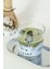 "Offline Is The New Luxury" Motto Cam Meşrubat & Su Bardağı - 380 ml 4