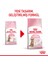 Kitten Sterilised (Genç Kısır) Yavru Kedi Maması 2 kg 1