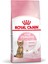 Kitten Sterilised (Genç Kısır) Yavru Kedi Maması 2 kg 2