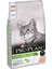 Proplan Sterilised Kısırlaştırılmış Somonlu Kedi Maması 10 kg 1