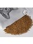 Proplan Sterilised Kısırlaştırılmış Somonlu Kedi Maması 10 kg 1