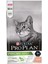 Proplan Sterilised Kısırlaştırılmış Somonlu Kedi Maması 10 kg 2