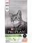 Proplan Sterilised Kısırlaştırılmış Somonlu Kedi Maması 10 kg 1