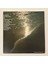 The Beach Boys – High Water - Dönem Baskı Plak 2