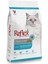 Yetişkin Kedi Maması Balıklı 2 kg 1