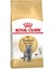 British Shorthair Yetişkin Kedi Maması 10 kg 2