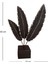 Aurora Feather – Lüks 3’lü Siyah Tüy Dekoratif Obje (33X23 Cm) 3