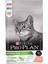 Proplan Sterilised Kısırlaştırılmış Somonlu Kedi Maması 10 kg 1