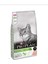 Proplan Sterilised Kısırlaştırılmış Somonlu Kedi Maması 10 kg 1