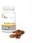 Vetexpert Vetaminex 60 Kapsül Kedi&köpek Multivitamin 1