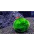 Moss Ball 2 Adet 2-3 cm 4
