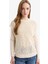 Bisiklet Yaka Nakışlı Triko Süveter F3296AX25AU 1