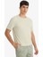 Regular Fit Bisiklet Yaka Dokulu Kısa Kollu Tişört F8480AX25AU 4