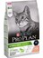 Proplan Sterilised Kısırlaştırılmış Somonlu Kedi Maması 10 kg 1