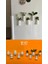 Fuzzy Mini Saksı Magnetli Set (5 Adet) 1