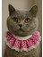 Kedi Prenses Yaka Tasma Pembe Puantiyeli Dantelli 1