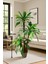 Yapay Ağaç 3lü Yucca 110 CM 1