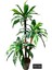 Yapay Ağaç 3lü Yucca 110 CM 2