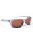 Eyewear Sunglasses Antares Transparent Grey & Copper 1