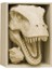 T-Rex Kitaplık Dekoru 1