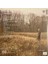 Taylor Swift Evermore (2 Lp Green Vinyl) 2