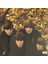 The Beatles For Sale (Plak) 2