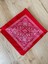 %100 Pamuklu Klasik Desen Unisex Bandana Renkli Bandana Etnik Desenli Bandana 3