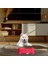 Köpek Yastığı , Kemik Şeklinde Yastık 2