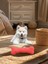 Köpek Yastığı , Kemik Şeklinde Yastık 5