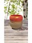Silvestra “ember Gold” 24 Ayar Gerçek Altın Detaylı Stoneware Kupa – 330 ml 4