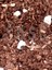 Substrat Mix Ithal Torf Cocopeat Perlit Özel Karışım Saksı Harcı Çiçek ve Bitki Toprağı 1 Lt 2