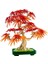 10348 LEGO Iconic Japon Akçaağaç Bonsai Ağacı 474 Parça +18 Yaş 3