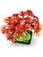 10348 LEGO Iconic Japon Akçaağaç Bonsai Ağacı 474 Parça +18 Yaş 4