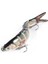 140 mm 27G Rapala Sahte Balık Yem Turna - Levrek Avcısı Sahte Balık Maketi 4