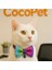 Papyonlu Kedi Boyun Tasması Gökkuşağı Desenli Zilli 17-30 cm Kedi Papyon Fiyonk 1
