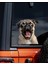 Pug Araba,laptop,için Dayanıklı,eğlenceli Sticker 2