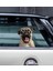 Pug Araba,laptop,için Dayanıklı,eğlenceli Sticker 4