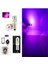 ( 2 x Adet ) 1 Takım T4 53 & H6 LED Ampul Gösterge Gündüz Sürüş Park Ampulu LED Pembe (Pınk) 2