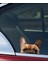 Fransız Bulldog Araba ,motorsiklet, Dizüstü Bilgisayar, Buzdolabı Sticker,etiket,pencere Etiketi 2