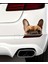 Fransız Bulldog Araba ,motorsiklet, Dizüstü Bilgisayar, Buzdolabı Sticker,etiket,pencere Etiketi 3
