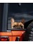 Fransız Bulldog Araba ,motorsiklet, Dizüstü Bilgisayar, Buzdolabı Sticker,etiket,pencere Etiketi 5