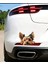 Yorkshire Terrier Eğlenceli, Yapışkanlı Araba, Laptop Sticker 3