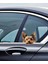 Yorkshire Terrier Eğlenceli, Yapışkanlı Araba, Laptop Sticker 4